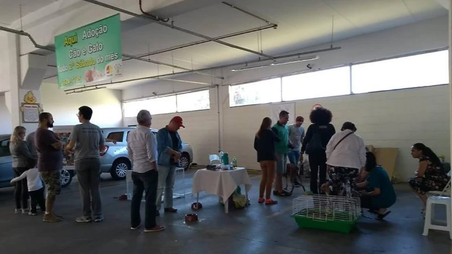 Feira de adoção de animais é realizada na Poli Pet Feira de adoção de animais é realizada na Poli Pet