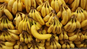 Cesta básica apresenta queda de preço após aumentos consecutivos