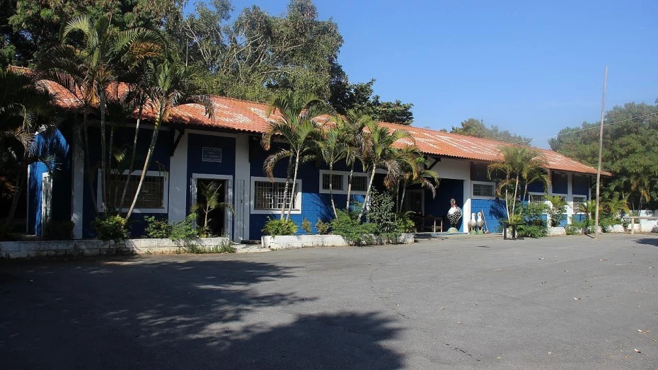 25 anos: Casa do Figureiro celebra aniversário nesta terça