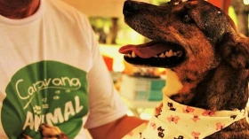 Caravana Animal inicia 2019 com evento no Horto de Taubaté