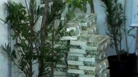 Prefeitura lança kit de educação ambiental 