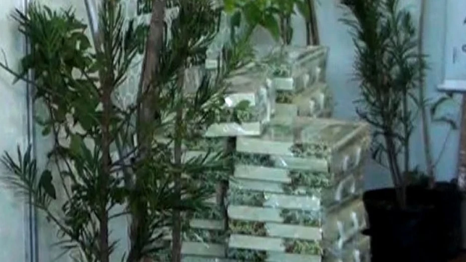 Prefeitura lança kit de educação ambiental 