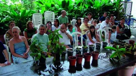 Plantas carnívoras invadem Sesc 