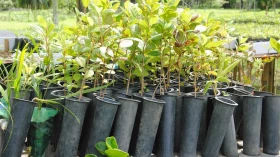 Senac apresenta Semana de Sustentabilidade