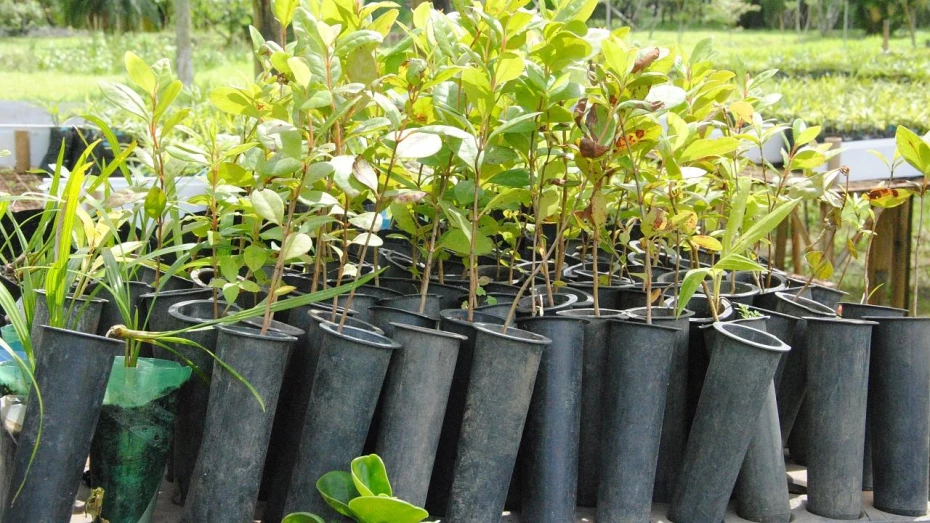 Senac apresenta Semana de Sustentabilidade