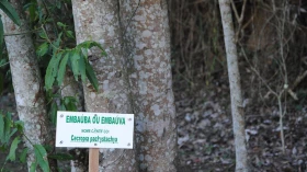 Taubaté abre Semana do Meio Ambiente