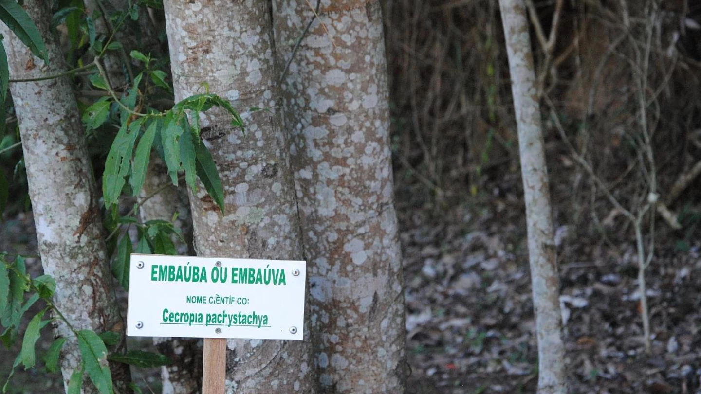 Taubaté abre Semana do Meio Ambiente
