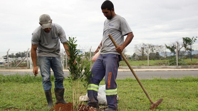 Áreas urbanas da cidade recebem plantio de 18 mil mudas