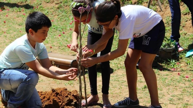 “Dias Verdes” chega ao fim nesta quarta-feira