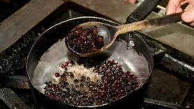 Receitas com içá são destaques do “Raízes do Vale”