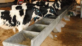 Feira traz novidades do mercado agrícola
