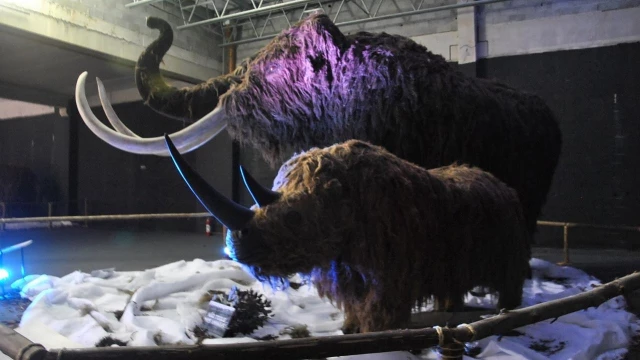 Shopping da cidade recebe exposição "Gigantes da Era do Gelo"