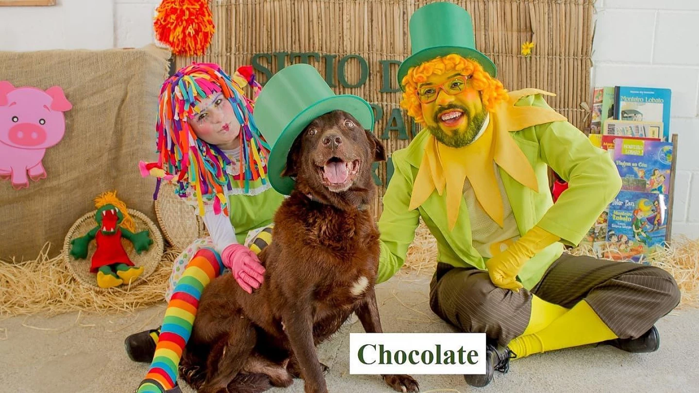 ONG promove feira de adoção de animais com homenagem a Monteiro Lobato