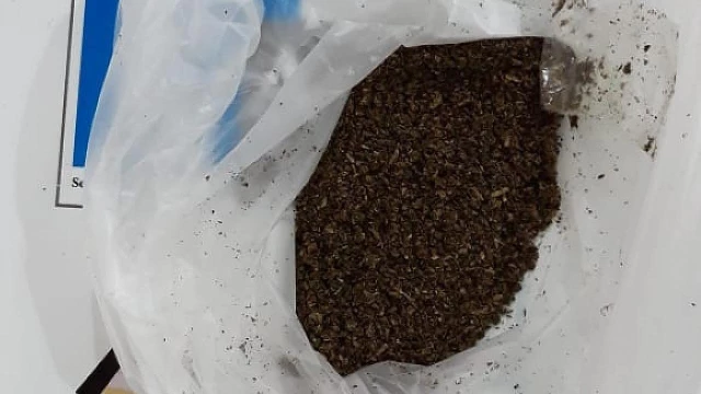 Visitante é barrada tentando entrar com maconha no CDP de Taubaté 