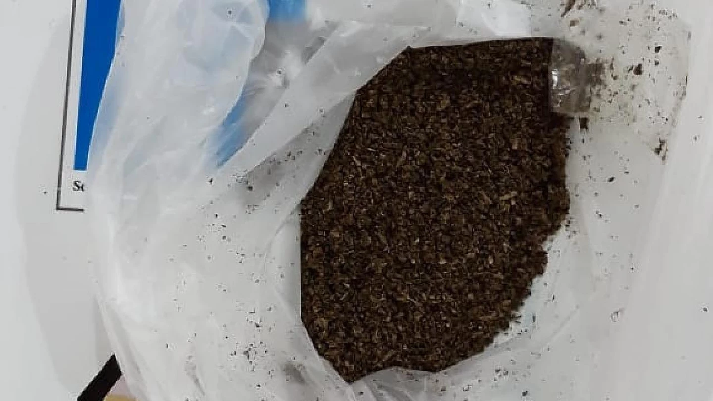 Visitante é barrada tentando entrar com maconha no CDP de Taubaté 