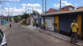 ADL de outono indica risco de epidemia em regiões de Taubaté