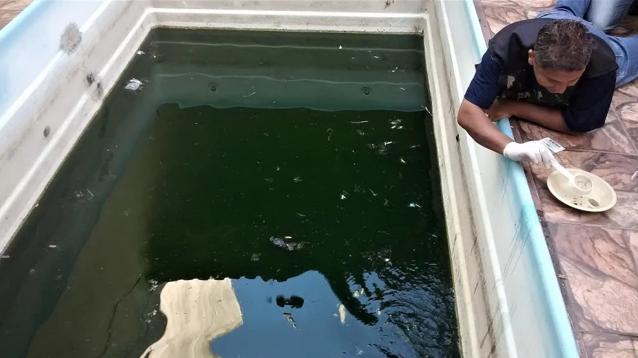 Garrafas retornáveis lideram em lista de possíveis criadouros do Aedes em Taubaté Garrafas retornáveis lideram em lista de possíveis criadouros do Aedes em Taubaté