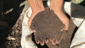 Sesc Taubaté anuncia programação sobre Meio Ambiente para mês de junho
