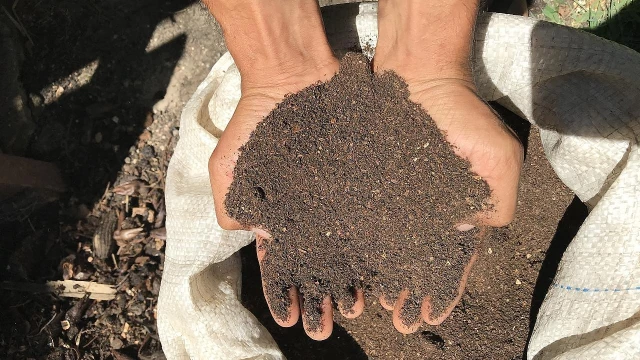 Sesc Taubaté anuncia programação sobre Meio Ambiente para mês de junho