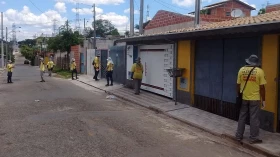 Notificações de criadores de mosquito da dengue aumentam mais de 400%