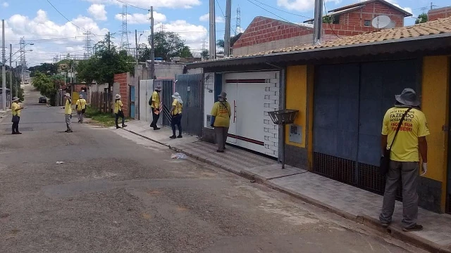 Notificações de criadores de mosquito da dengue aumentam mais de 400%