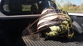 Polícia prende grupo acusado de soltar balão em Taubaté