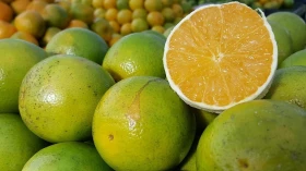 Pesquisa mostra queda de preço da cesta básica em Taubaté no mês de julho