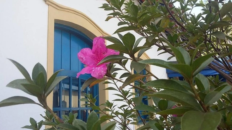 Mostra de Arte da Primavera tem inscrições abertas em Taubaté Mostra de Arte da Primavera tem inscrições abertas em Taubaté