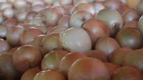 Cesta básica na RMVale apresenta alta no mês de março