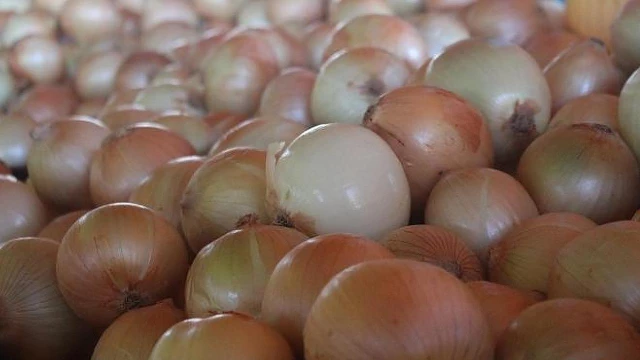 Cesta básica na RMVale apresenta alta no mês de março