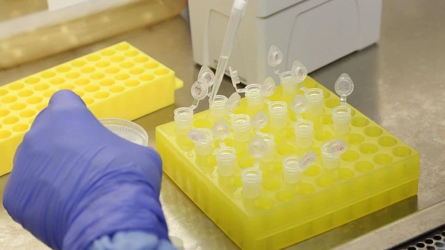 Distante do isolamento 'ideal', Taubaté confirma 42° caso de Covid-19