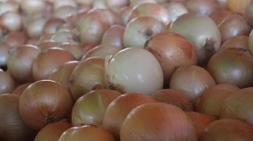 Em meio à pandemia, cesta básica registra nova alta na RMVale