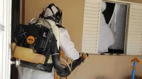 Dengue: Taubaté confirma mais duas mortes e passa de 1,4 mil casos