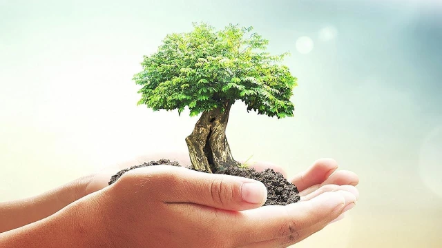 Lives com especialistas são atrações do Mês do Meio Ambiente em Taubaté