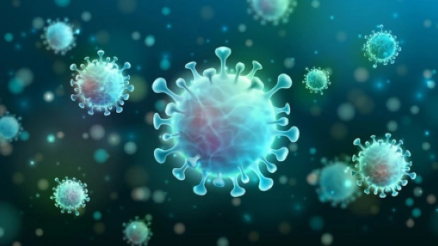 Covid-19: Taubaté confirma novo óbito em dia com pior índice de isolamento social