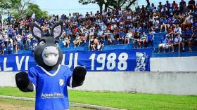 Burro busca liderança nesse domingo