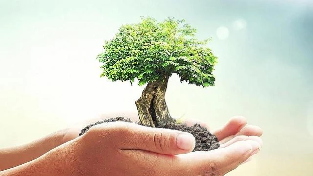 Instituições da região são selecionadas para programa de aceleração