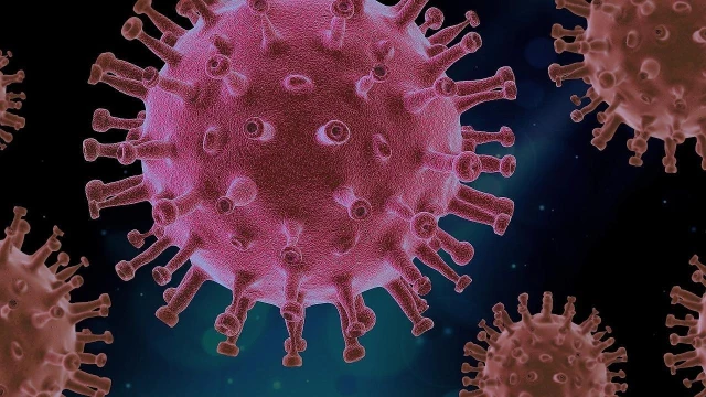 Registrados 112 novos casos e 5 mortes por Covid durante feriado