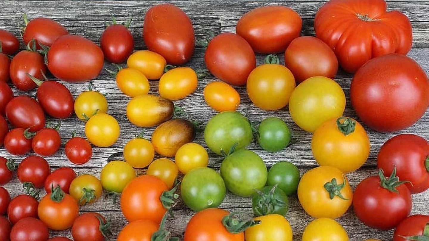 Preço da cesta básica permanece estável em agosto