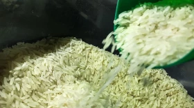 Arroz e óleo de soja puxam alta da cesta básica em setembro na RMVale
