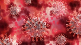Covid: Vigilância Epidemiológica confirma mais duas mortes em Taubaté