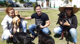 Feira de adoção do CCZ acontece neste sábado