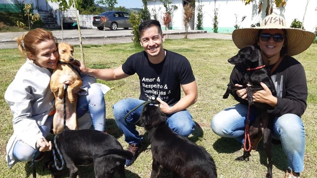 Feira de adoção do CCZ acontece neste sábado