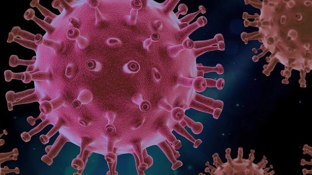 Taubaté registra duas mortes pela Covid-19 e queda no número de internados