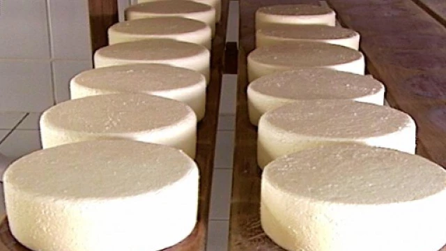 Certificação para produtos de origem animal em Taubaté é viabilizado
