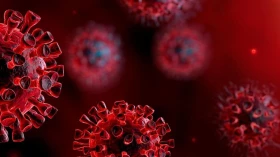 Covid: Taubaté ultrapassa marca de 400 mortes pela doença