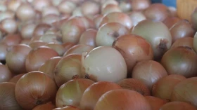 Cesta básica do Vale do Paraíba volta a apresentar aumento