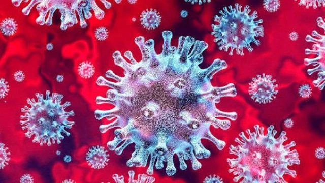 Taubaté ultrapassa marca de 600 mortes por Covid-19