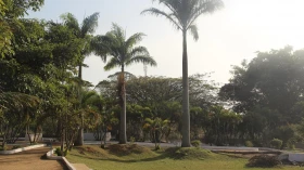 Parques Municipais de Taubaté reabrem em dias de semana