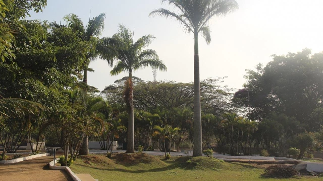 Parques Municipais de Taubaté reabrem em dias de semana